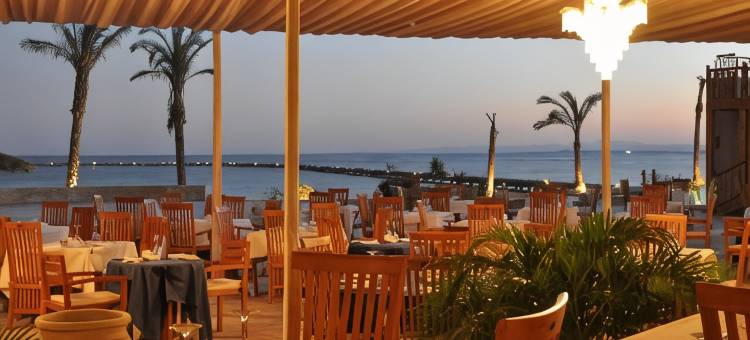 索马湾破浪者潜水与冲浪酒店(The Breakers Diving and Surfing Lodge Soma Bay)图片