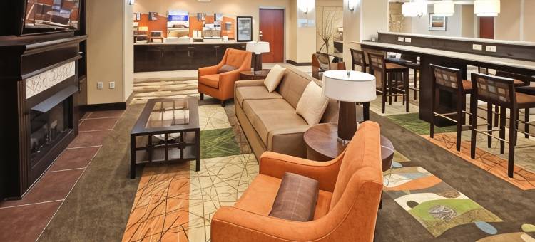 毛米勒智选假日酒店&套房(Holiday Inn Express & Suites Maumelle - Little Rock NW)图片