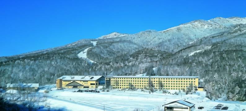 志贺高原王子大酒店(Shigakogen Prince Hotel)图片