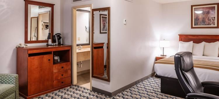 维斯塔机场贝斯特韦斯特酒店(Best Western Vista Inn at the Airport)图片