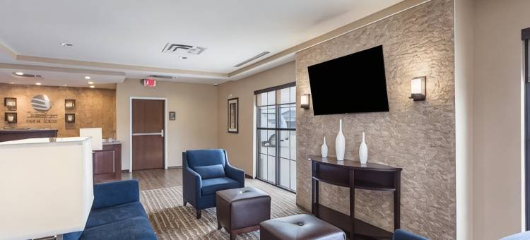 舒适套房酒店(Comfort Inn & Suites Zachary)图片