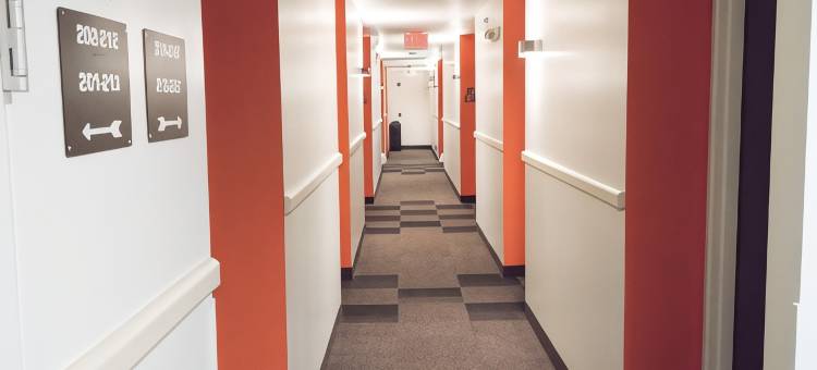 波茨敦6号汽车旅馆(Motel 6 Pottstown, PA)图片