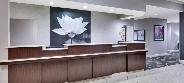 北达拉斯中心拉昆塔温德姆套房酒店(La Quinta Inn & Suites by Wyndham Dallas North Central)图片