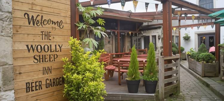 长毛羊宾馆(The Woolly Sheep Inn)图片