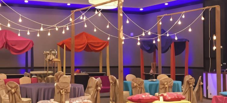 芝加哥内帕维希尔顿安泊酒店(Embassy Suites by Hilton Chicago Naperville)图片