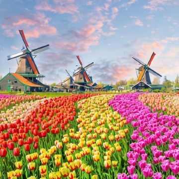 荷兰+比利时+德国12日10晚跟团游