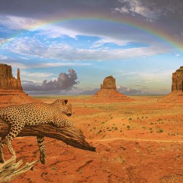 南非12日9晚跟团游