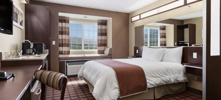 惠勒岭麦客达温德姆酒店(Microtel Inn & Suites by Wyndham Wheeler Ridge)图片