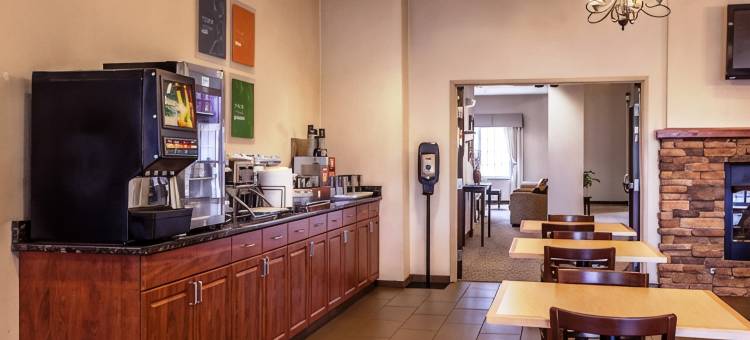 葛雷斯雷克舒适套房酒店-近利伯蒂维尔北(Comfort Suites Grayslake Near Libertyville North)图片