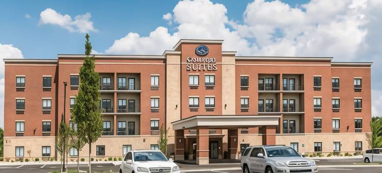 辛辛那提南部弗洛伦斯舒适套房酒店(Comfort Suites Florence - Cincinnati South)图片