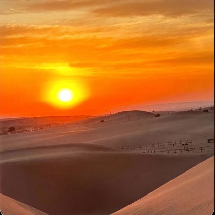 银川+中卫4日3晚跟团游