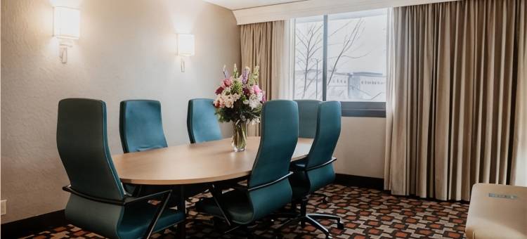 丽筠国会大厦边缘酒店(Radisson Hotel St. Paul Downtown)图片