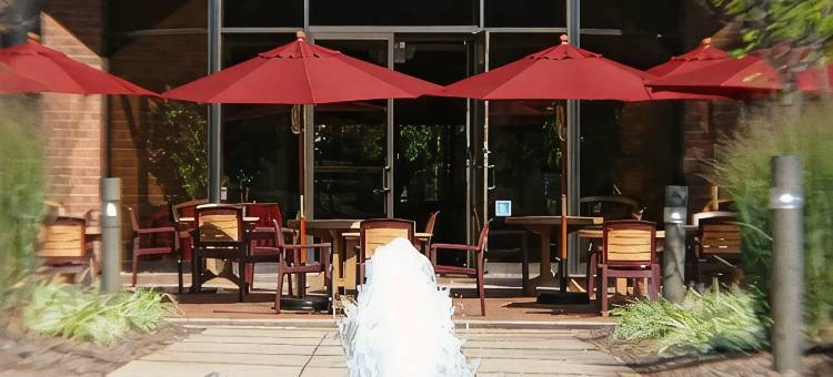 艾迪逊皇冠假日酒店(Crowne Plaza EDISON by IHG)图片