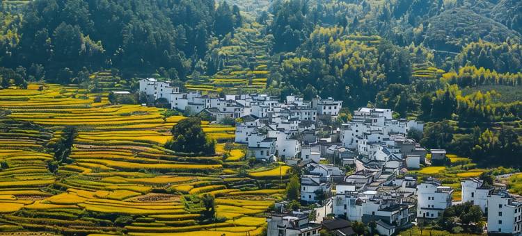婺源福荣民宿(篁岭风景区天街店)图片
