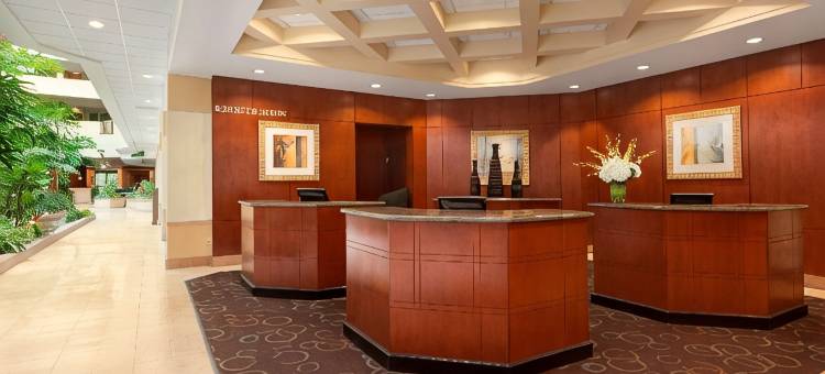 希尔顿坦帕布希花园附近美国佛罗里达大学大使套房酒店(Embassy Suites by Hilton Tampa USF Near Busch Gardens)图片