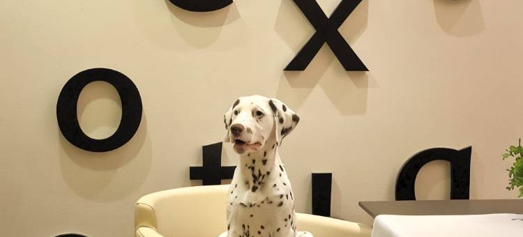 斯图加特放松酒店(Relexa Hotel Stuttgarter Hof)图片
