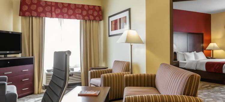 棕榈沙漠I-10号舒适套房酒店(Comfort Suites Palm Desert I-10)图片