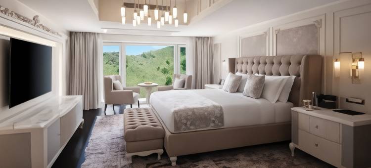 天予隐泉·水疗度假酒店(Ayan Zalaat Hotel and SPA)图片