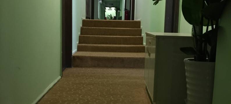 仁寿鸟巢旅社图片