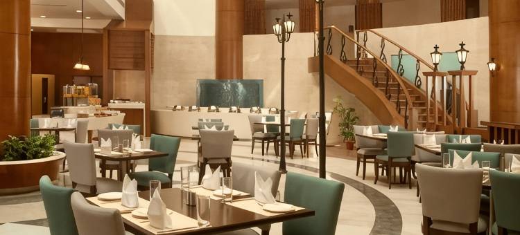 萨沃伊套房大诺伊达店(Savoy Suites Greater Noida)图片