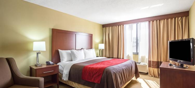市中心舒适酒店(Comfort Inn Downtown)图片