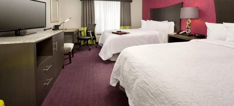 水牛城机场欢朋套房酒店(Hampton Inn & Suites Buffalo/Airport)图片