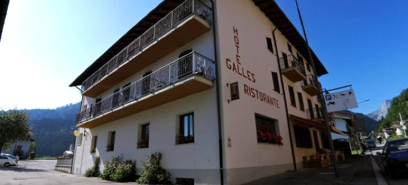 加里斯酒店(Hotel Galles)图片