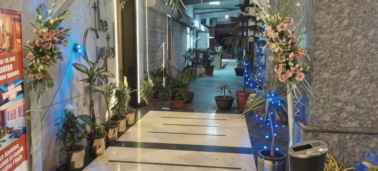 古尔冈DS克拉克斯酒店(Hotel DS Clarks Inn Gurgaon)图片