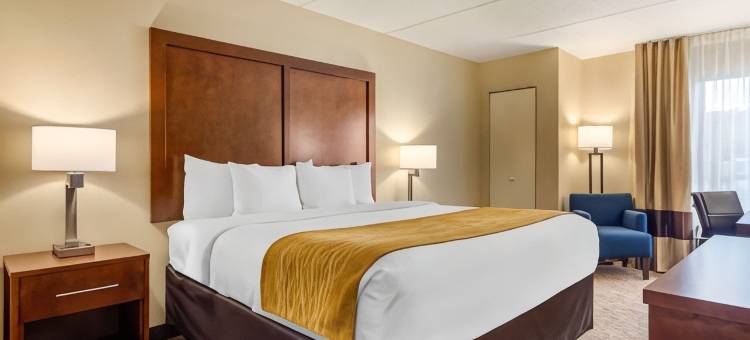 亚特兰大机场舒适酒店(Comfort Inn Atlanta Airport)图片
