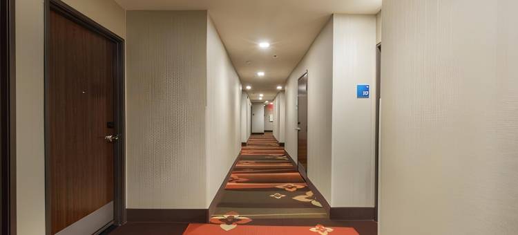 南帕洛阿尔托山景智选假日酒店(Holiday Inn Express Mountain View - S Palo Alto)图片