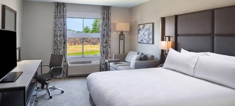 黎巴嫩汉诺威希尔顿花园酒店(Hilton Garden Inn Hanover/Lebanon)图片