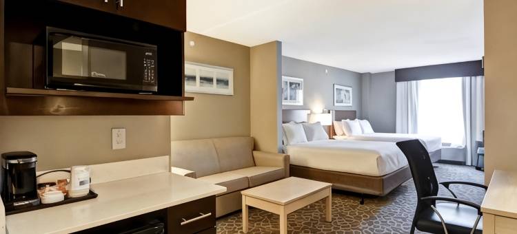 奥沙瓦市中心多伦多地区智选假日套房酒店(Holiday Inn Express & Suites Oshawa Downtown - Toronto Area)图片