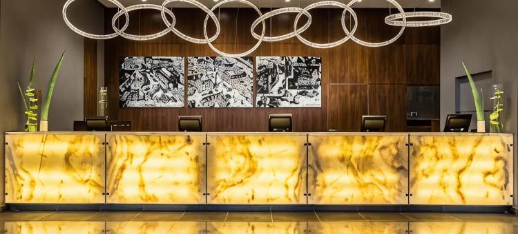 华沙洲际酒店(InterContinental Hotels Warsaw)图片