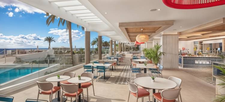 Princess 塔乌里托- 全包加(Princess Taurito)图片