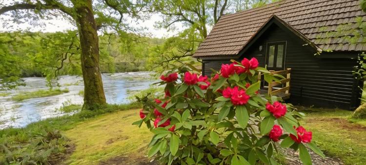 布尔班克旅馆(Burnbank Lodges)图片