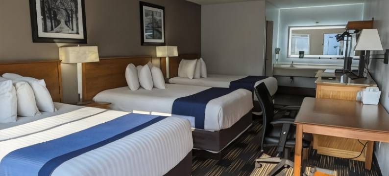 雪松湾酒店(Cedar Cove)图片