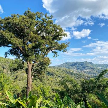 昆明+抚仙湖+建水+墨江+澜沧+西盟+沧源+临沧+巍山11日10晚私家团