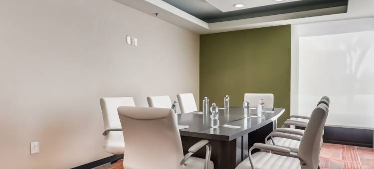 德克萨斯 DFW 机场南/欧文希尔顿惠庭酒店(Home2 Suites by Hilton DFW Airport South Irving)图片