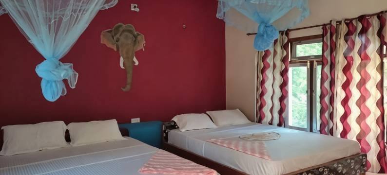 丛林小屋酒店(Bardia Jungle Cottage)图片