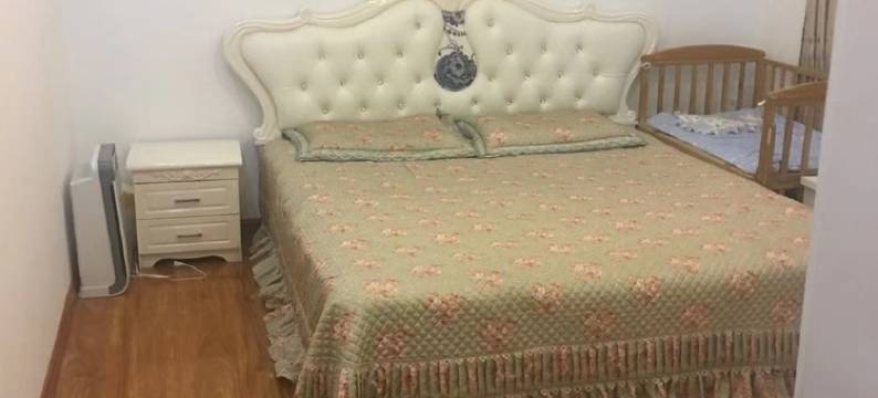 胡先生公寓(更新街分店)图片