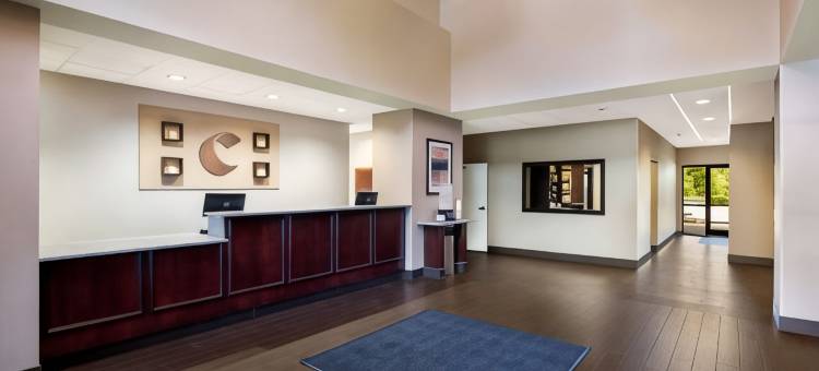 北湖舒适套房酒店(Comfort Suites Northlake)图片