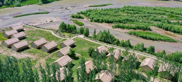 新疆交投觅林之野公路营地图片