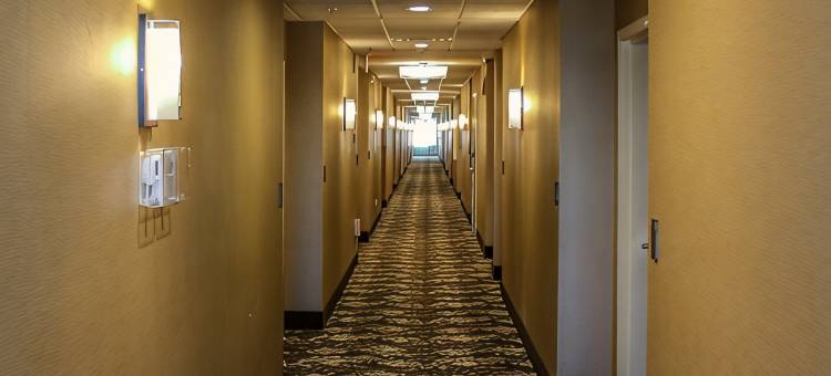 舒适套房酒店-大学(Comfort Suites University Brookings)图片
