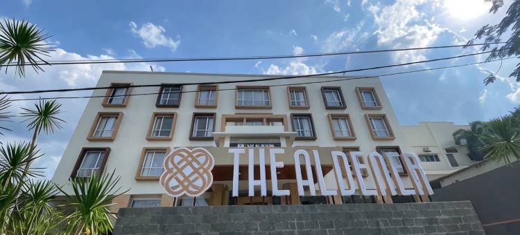 The Aldener图片
