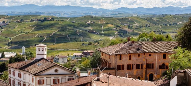 Barbera in Villa Pesce图片