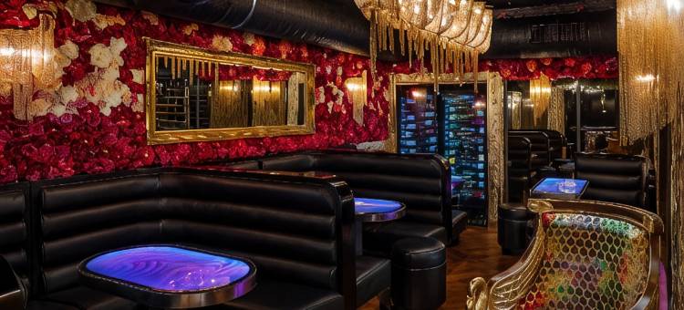 金树酒店(Hotel U Zlatého Stromu Prague by Bhg)图片