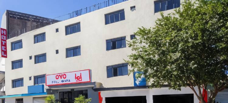 OYO 巴西瓜达拉哈拉哈利斯科体育场酒店(OYO Hotel Brazil,Guadalajara,Estadio Jalisco)图片