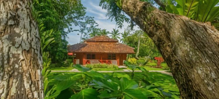 萨特沃大象生态酒店(Satwa Elephant Eco Lodge)图片