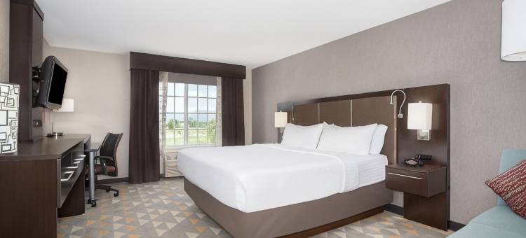 Holiday Inn 科罗拉多斯普林斯(机场) by IHG(Holiday Inn Colorado Springs Airport by IHG)图片