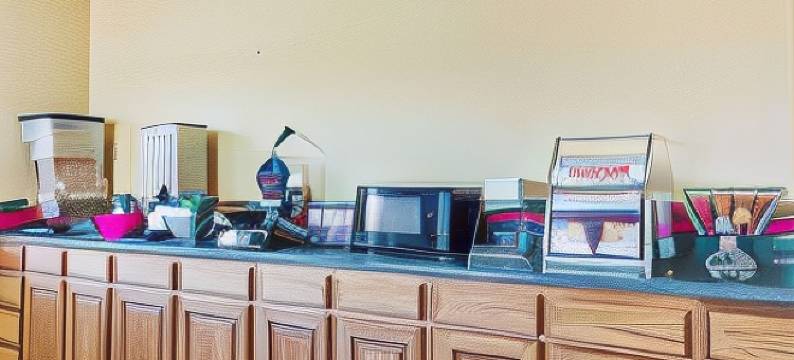 马丁斯维尔温德姆速8酒店(Super 8 by Wyndham Martinsville)图片